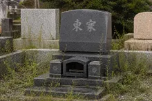 雑草の除去 作業前